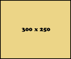 300banner
